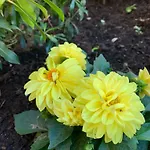 Place Des Vosges Apartamento