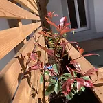 Apartamento Place Des Vosges