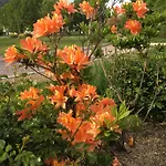 Place Des Vosges Apartamento Gérardmer