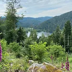 Place Des Vosges * Gérardmer