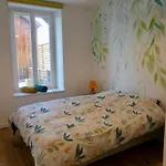 Place Des Vosges * Gérardmer