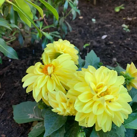 Place Des Vosges Διαμέρισμα