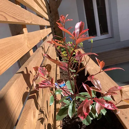 Διαμέρισμα Place Des Vosges