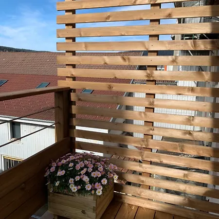 Place Des Vosges Gerardmer