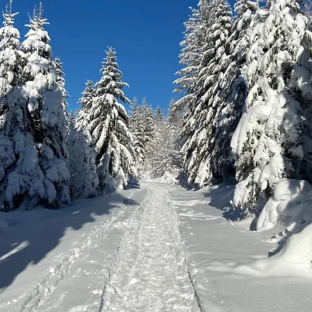 Place Des Vosges شقة