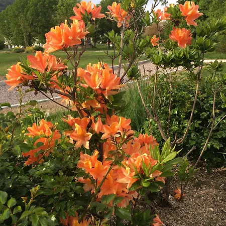 Place Des Vosges شقة جوراردُميه