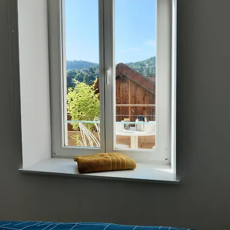 Apartment Place Des Vosges Gerardmer