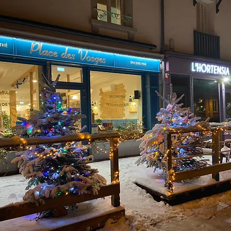 Place Des Vosges アパート ジェラールメ