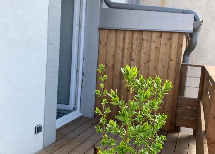 Appartement Place Des Vosges Gérardmer