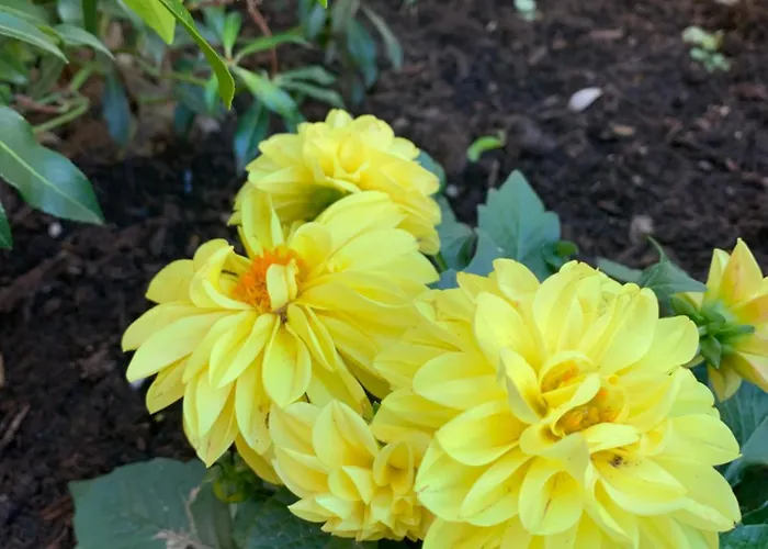 Place Des Vosges アパート