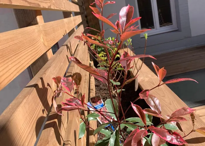 Appartement Place Des Vosges