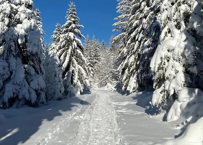 Place Des Vosges Appartement