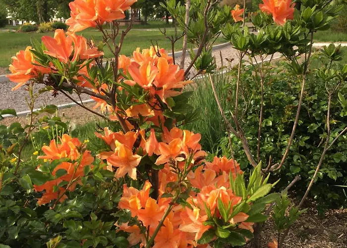Place Des Vosges Lejlighed Gérardmer