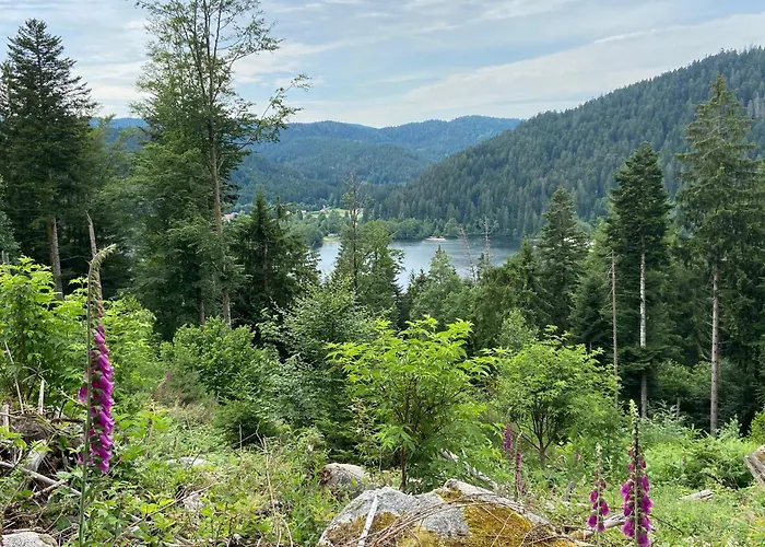 Place Des Vosges * ジェラールメ