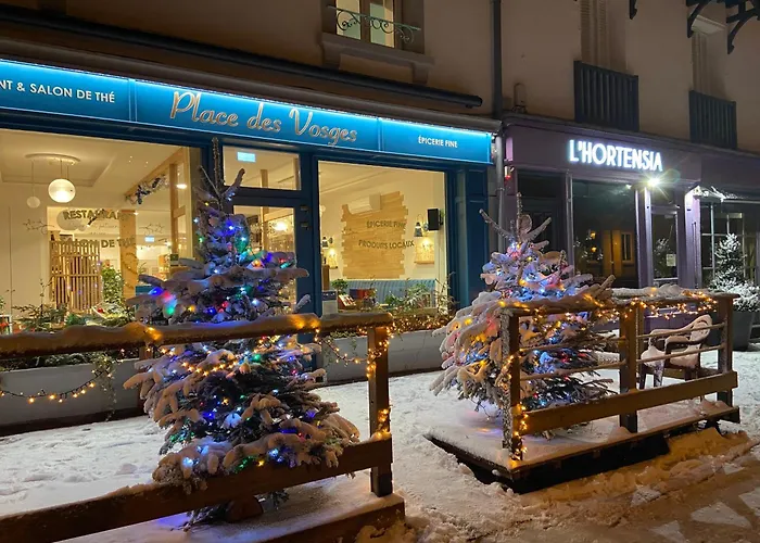 Place Des Vosges アパート ジェラールメ