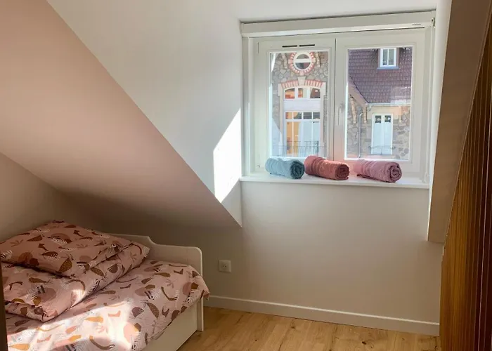 Place Des Vosges ジェラールメ